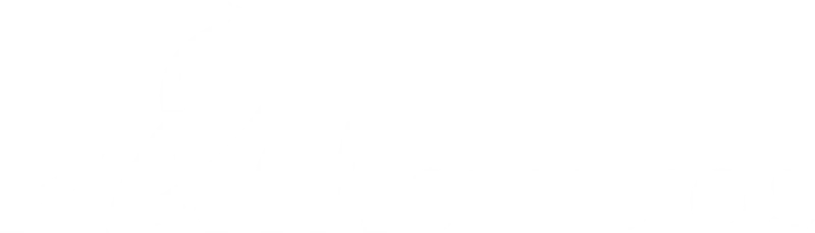 logo main